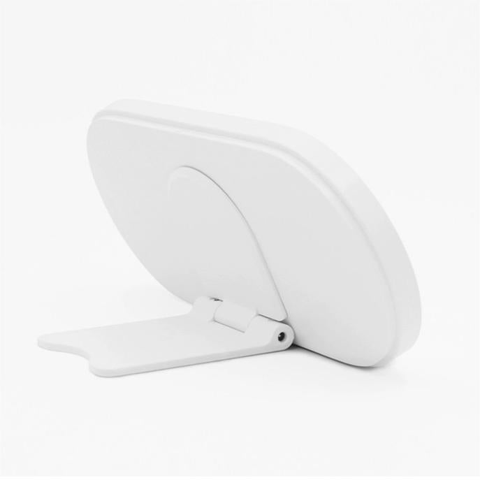 LED Makeup Mirror with Portable Cosmetic Case - Travel-Friendly Daylight Vanity Mirror
